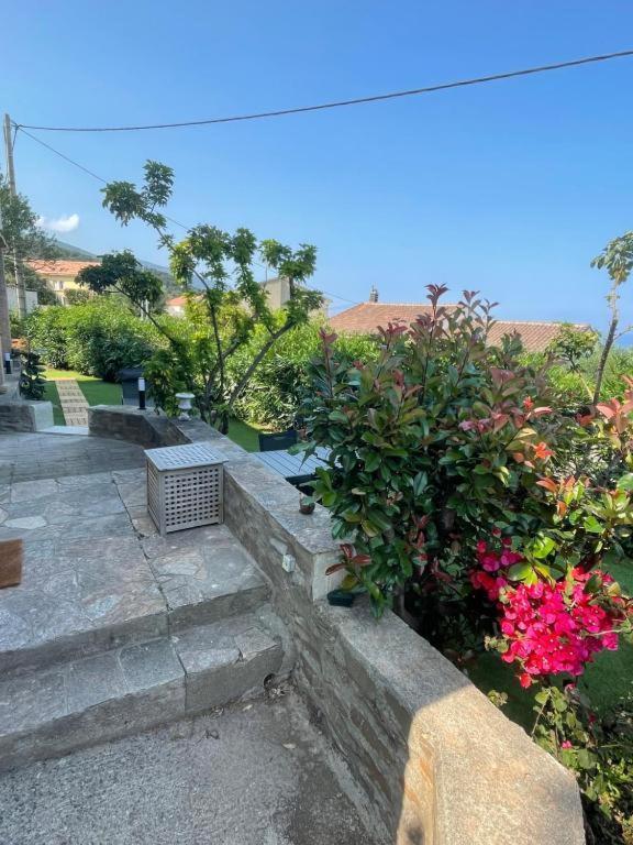 Le Cap Apartment San-Martino-di-Lota ภายนอก รูปภาพ