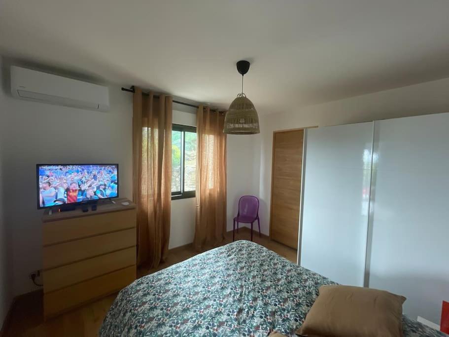 Le Cap Apartment San-Martino-di-Lota ภายนอก รูปภาพ